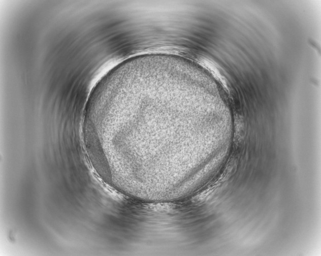 X0000093450952200711021111