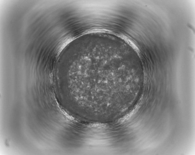 X0000093450953200711021111