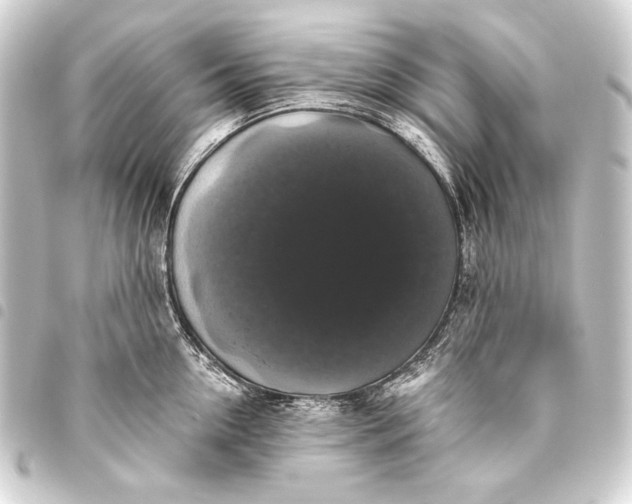 X0000093450954200711021111