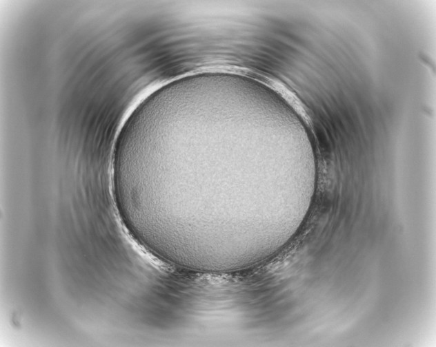 X0000093450955200711021111