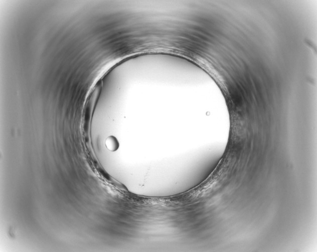 X0000093450956200711021111