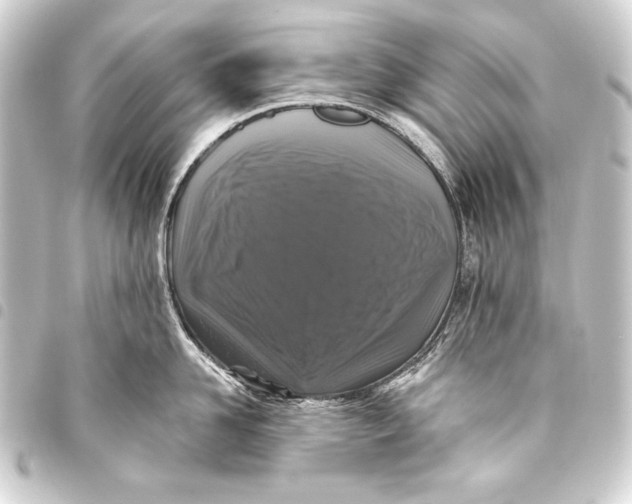 X0000093450958200711021111