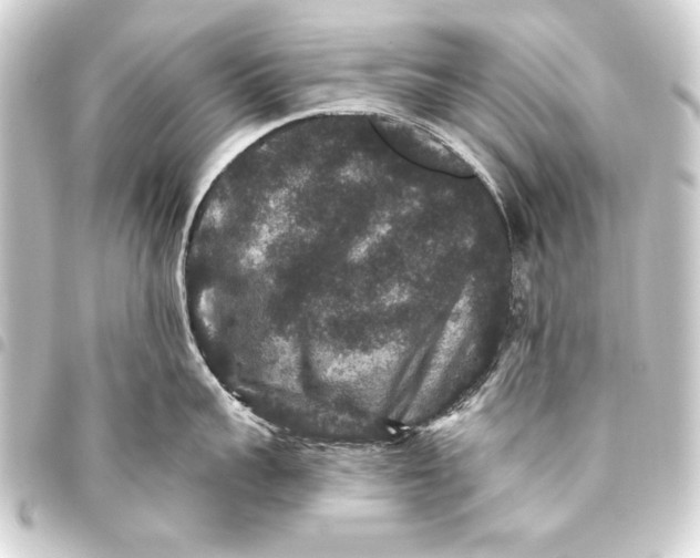 X0000093450959200711021111