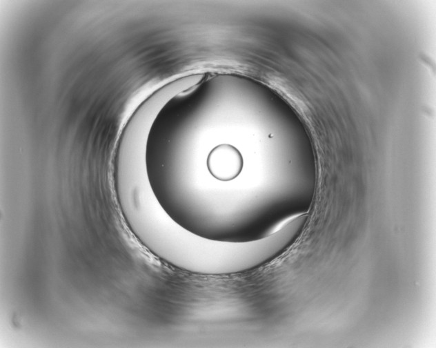 X0000093450960200711021111