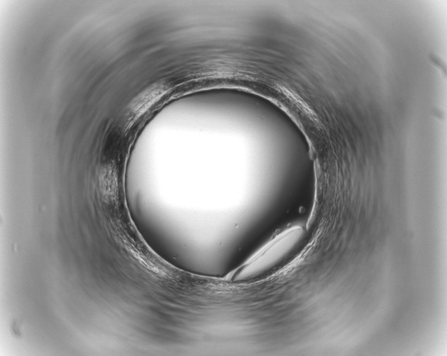 X0000093450969200711021111