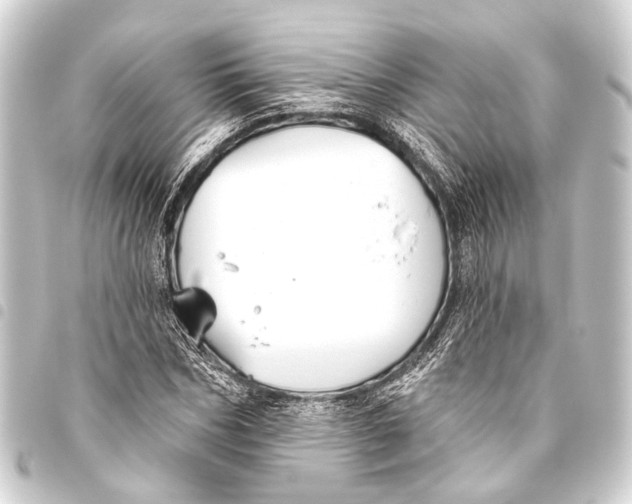 X0000093450970200711021111