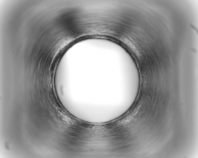 X0000093450974200711021111