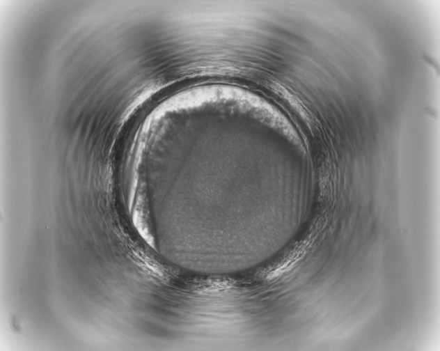 X0000093450975200711021111