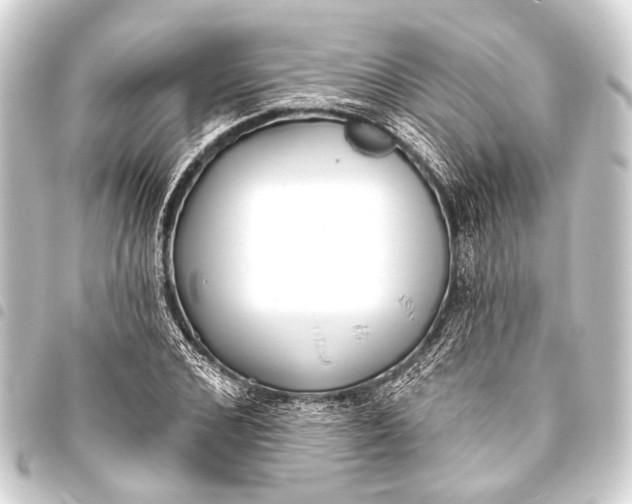 X0000093450976200711021111