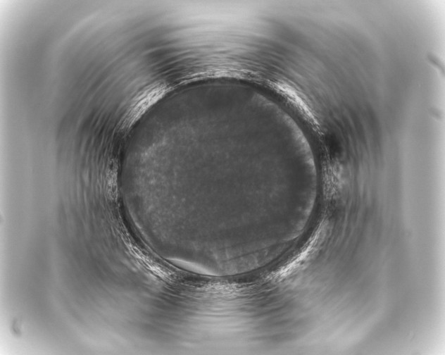 X0000093450977200711021111