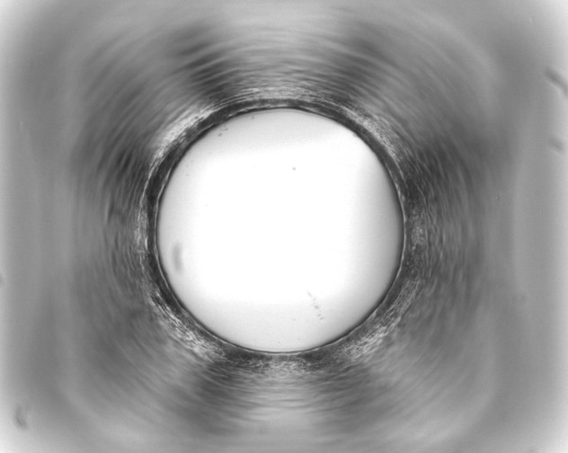 X0000093450979200711021110