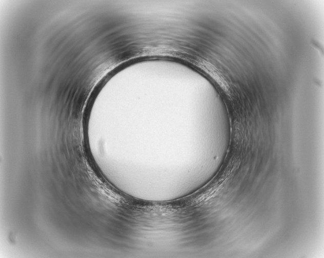 X0000093450980200711021110