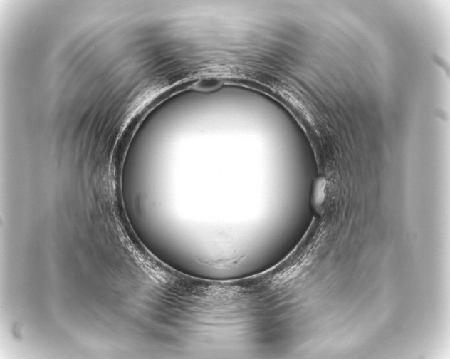 X0000093450981200711021110