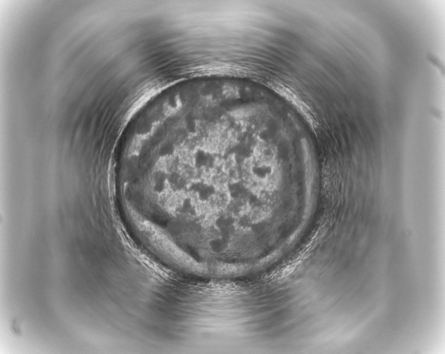 X0000093450983200711021110