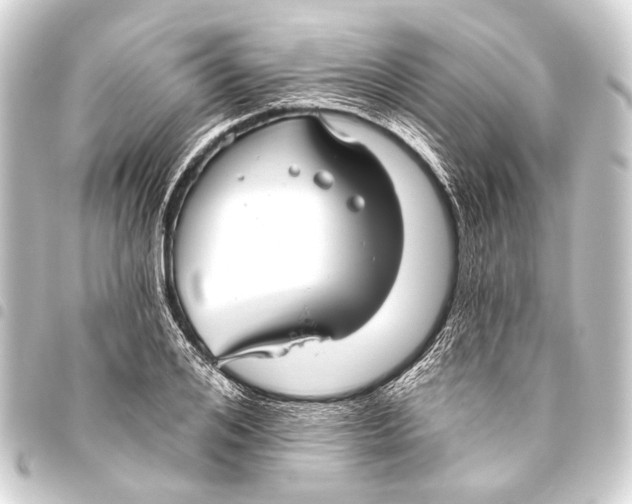 X0000093450984200711021110