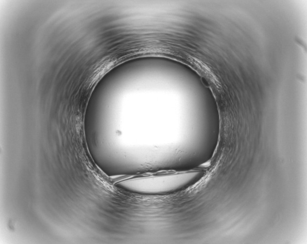 X0000093450985200711021110