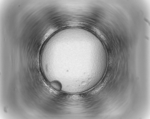 X0000093450986200711021110