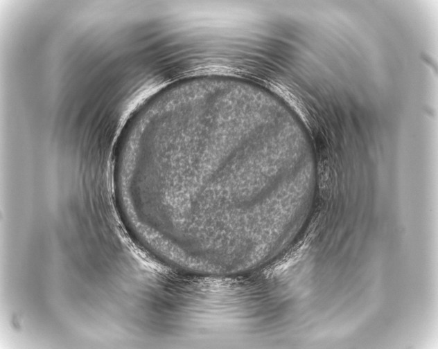 X0000093450987200711021110