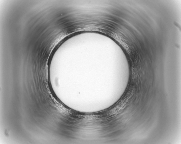 X0000093450988200711021110