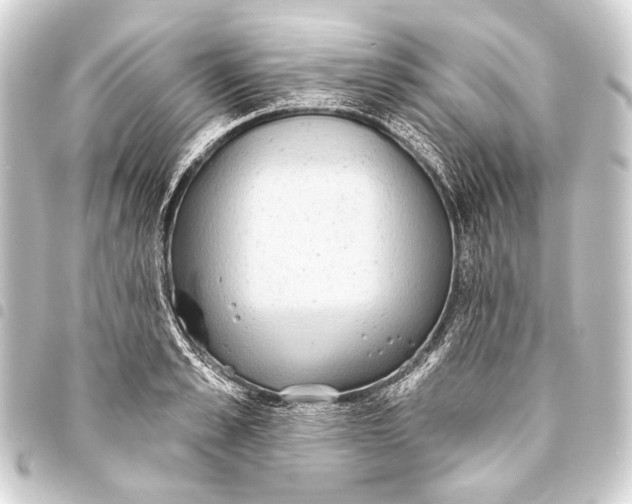 X0000093450989200711021110