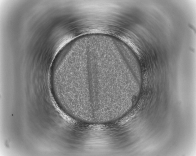 X0000093450991200711021110