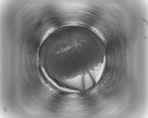 X0000093450994200711021110