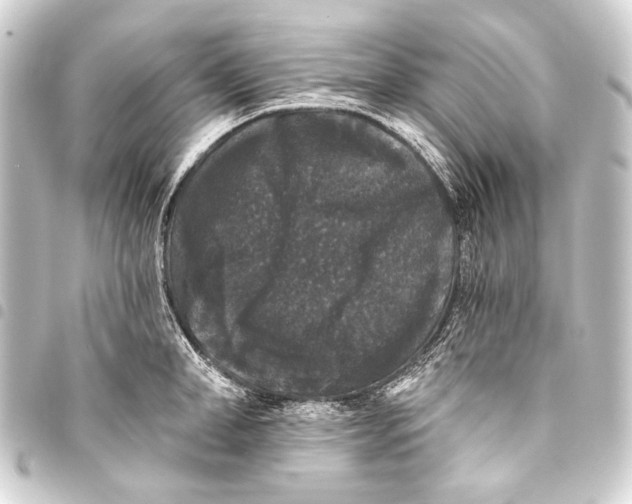 X0000093450998200711021110