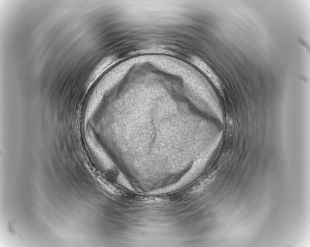 X0000093451002200711021110