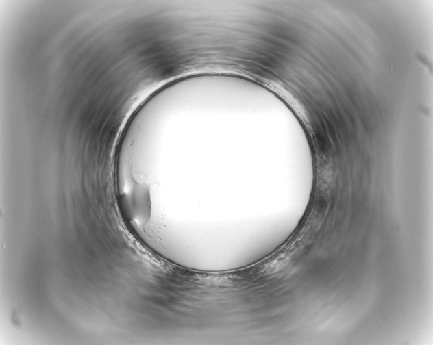 X0000093451004200711021110