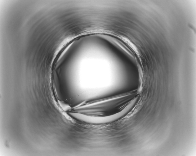 X0000093451005200711021110