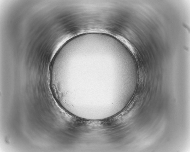 X0000093451006200711021110