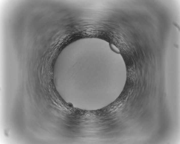 X0000093451009200711021110