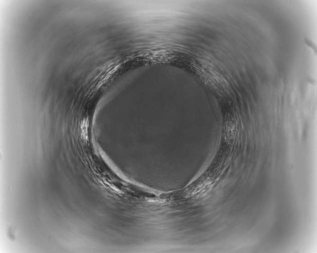 X0000093451010200711021110