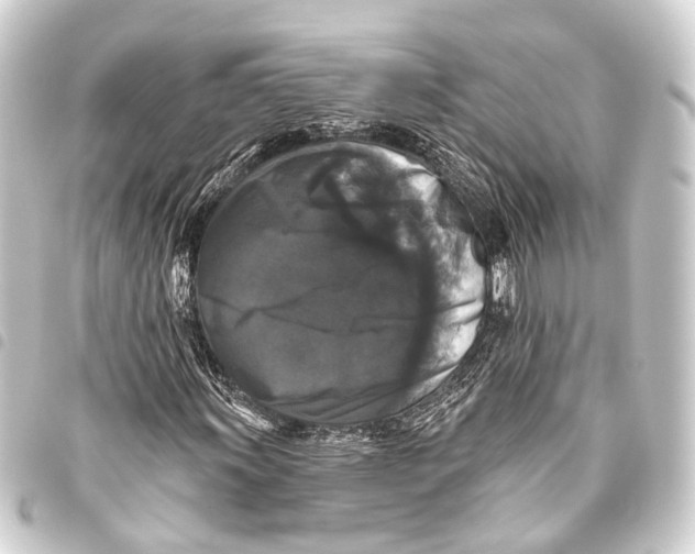 X0000093451011200711021110