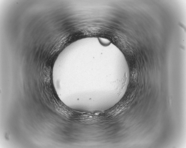 X0000093451012200711021110