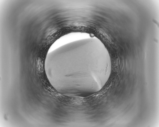 X0000093451013200711021110