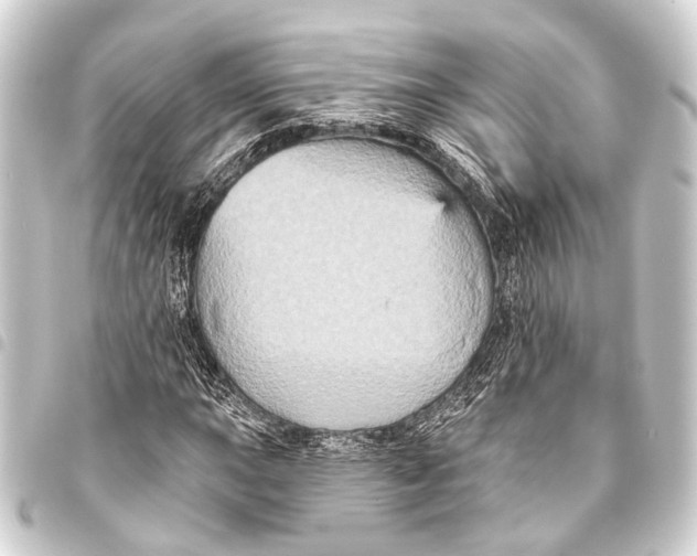 X0000093451015200711021110