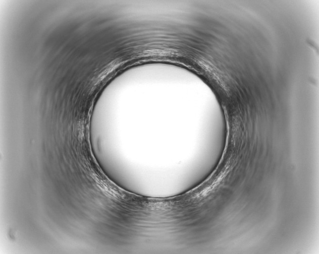 X0000093451017200711021110