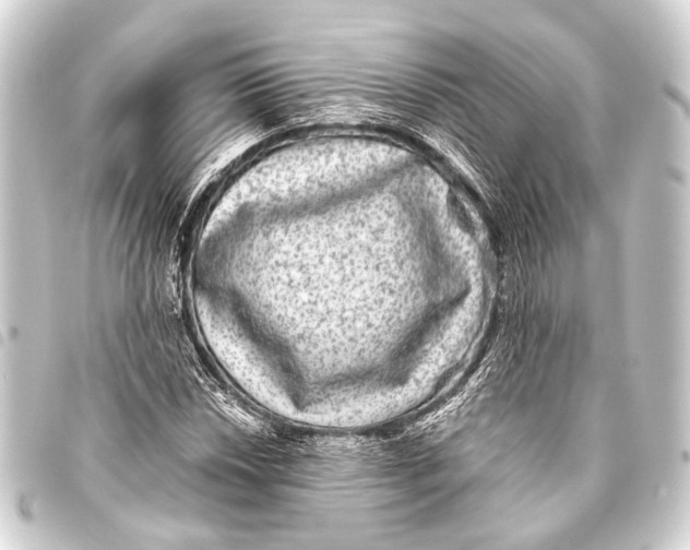 X0000093451018200711021110