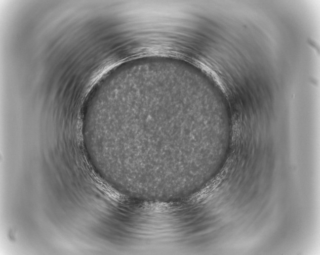 X0000093451019200711021110