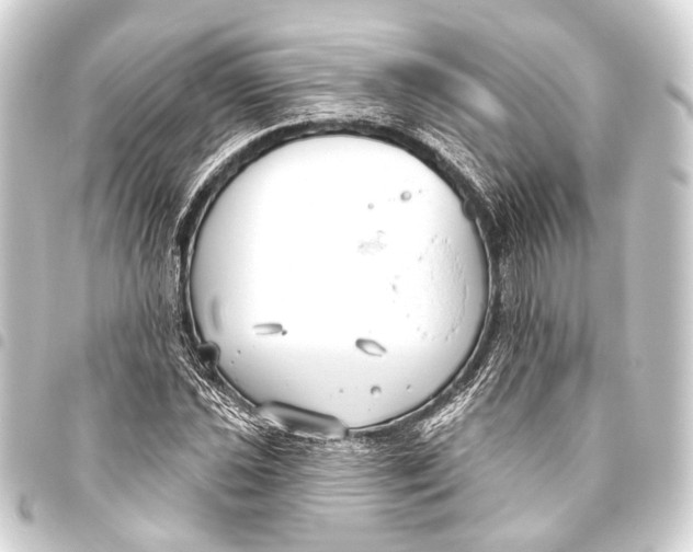 X0000093451021200711021110