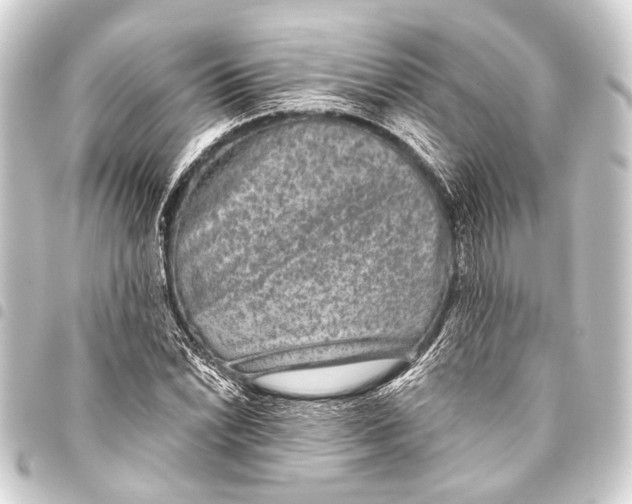 X0000093451022200711021110