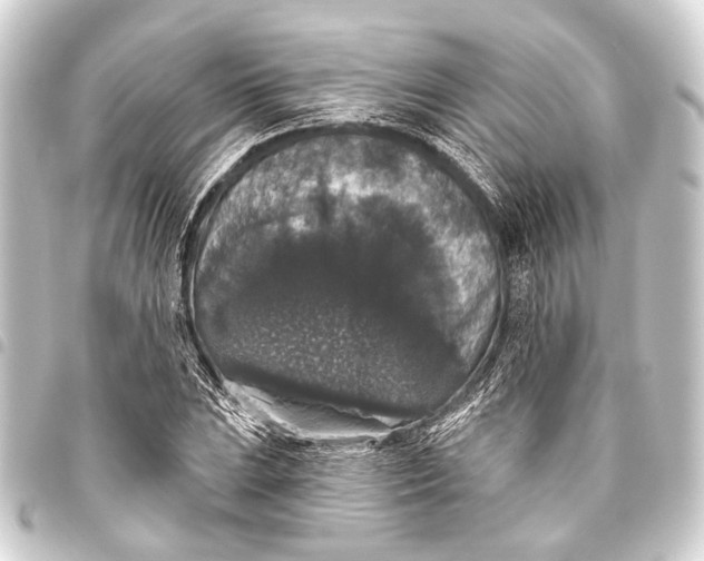 X0000093451023200711021110