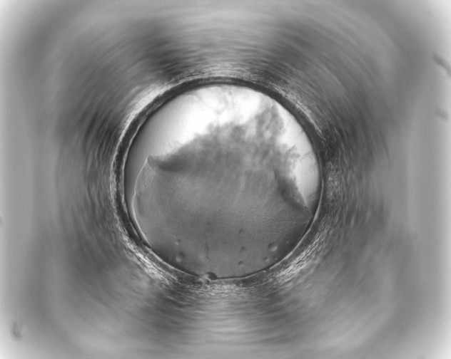 X0000093451024200711021110