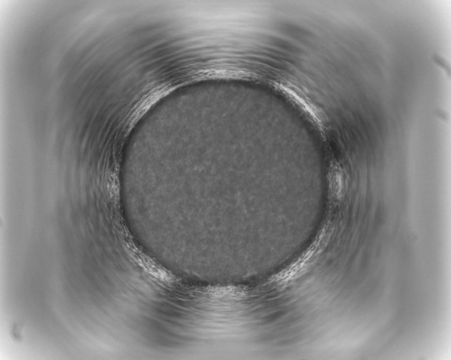 X0000093451025200711021110