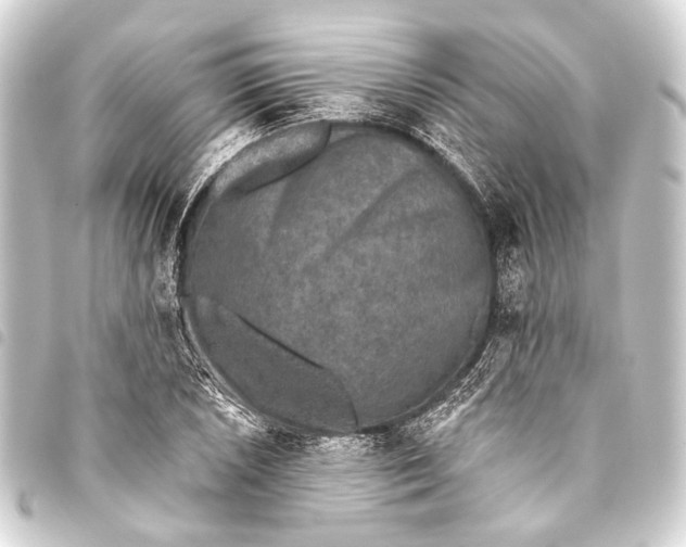 X0000093451026200711021110