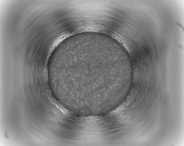 X0000093451027200711021110