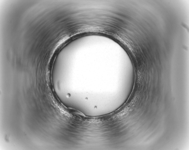 X0000093451029200711021110