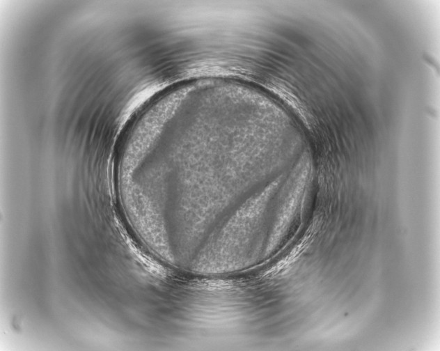 X0000093451030200711021110