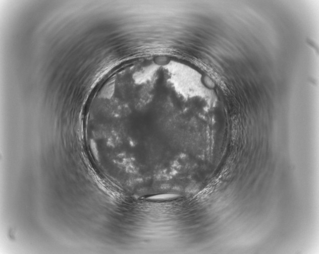 X0000093451031200711021110